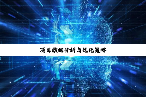项目数据分析与优化策略