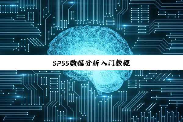 SPSS数据分析入门教程