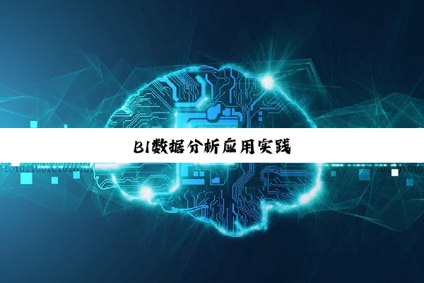 BI数据分析应用实践