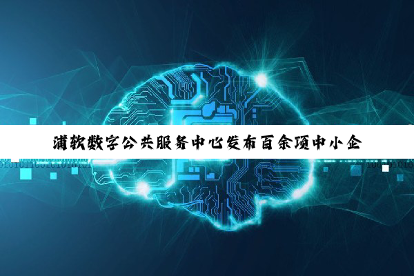 浦软数字公共服务中心发布百余项中小企业数字化转型服务清单